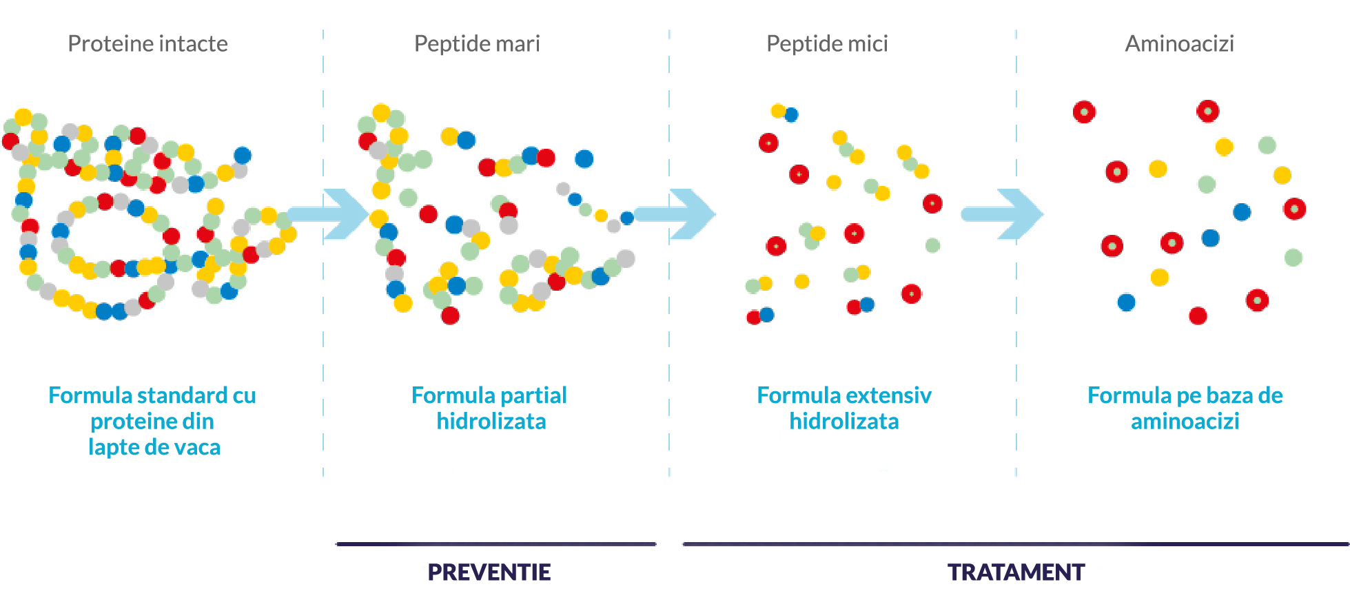 types-of-formulas-for-the-management-of-cmpa